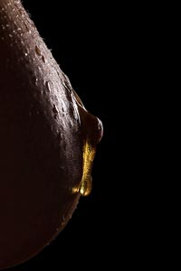 bodyscapes-6